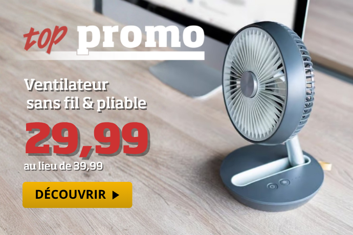 Top promo - Ventilateur sans fil