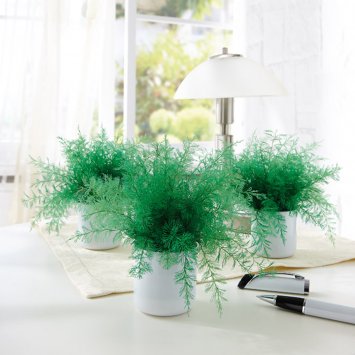 Anti-moustique "Neptunus"