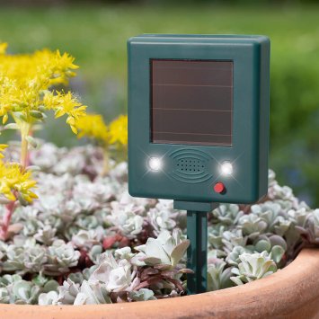 Solar-vogelverschrikker