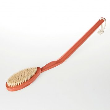 Brosse pour le dos