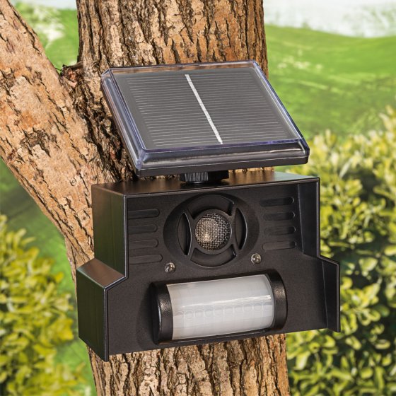 Chasse-oiseaux solaire 