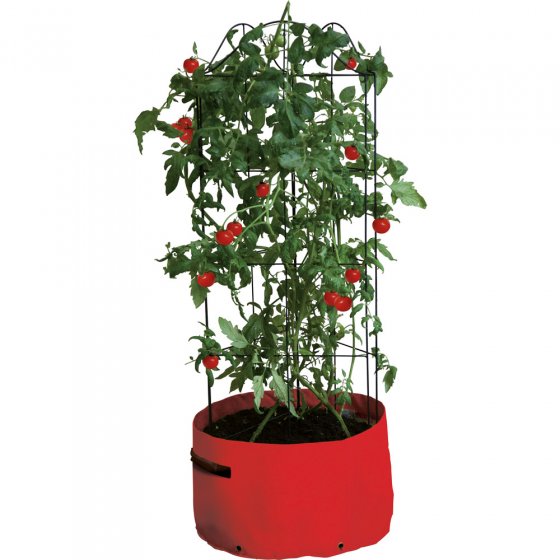 Klettertomaten-Pflanzkübel 