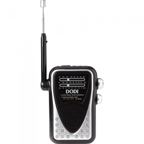 Compacte Wereldontvanger 