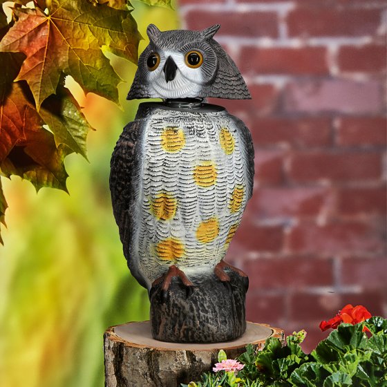 Tuinuil ’Vogelverjager’ 