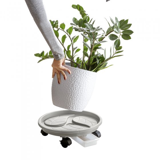 Plantenroller met opvangbak 