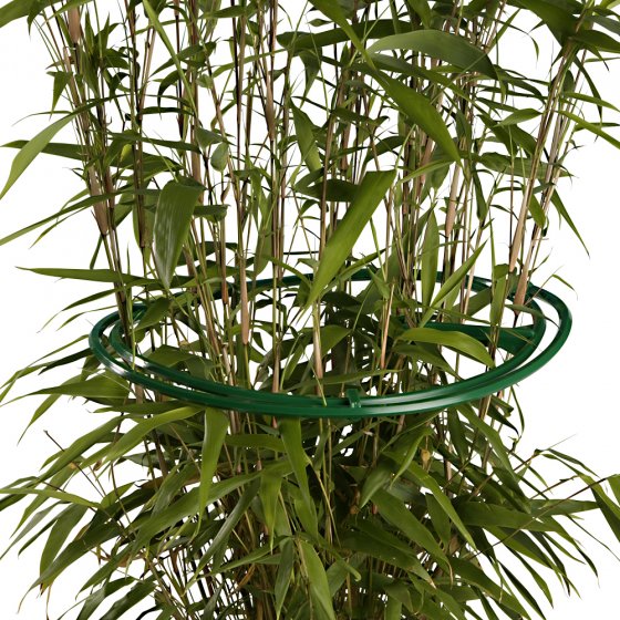 Vaste plantenringen in een set van 6 