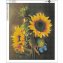 Diamantschilderij, zonnebloem - 1