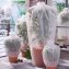 Thermotas voor planten - 1