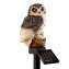 Chouette solaire à LED lot de 2 - 1