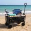 Chariot de transport pliable - 1