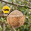 Friandise pour oiseaux à la noix de coco et au beurre de cacahuète, 400 g - 1