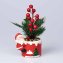 Kerstbloemstuk “Santa” - 1
