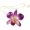 Collier à véritable fleur d'orchidée - 1