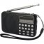 Mini-radio enregistreur - 1