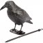 Vogelverschrikker "kraai" 2 stuks - 1