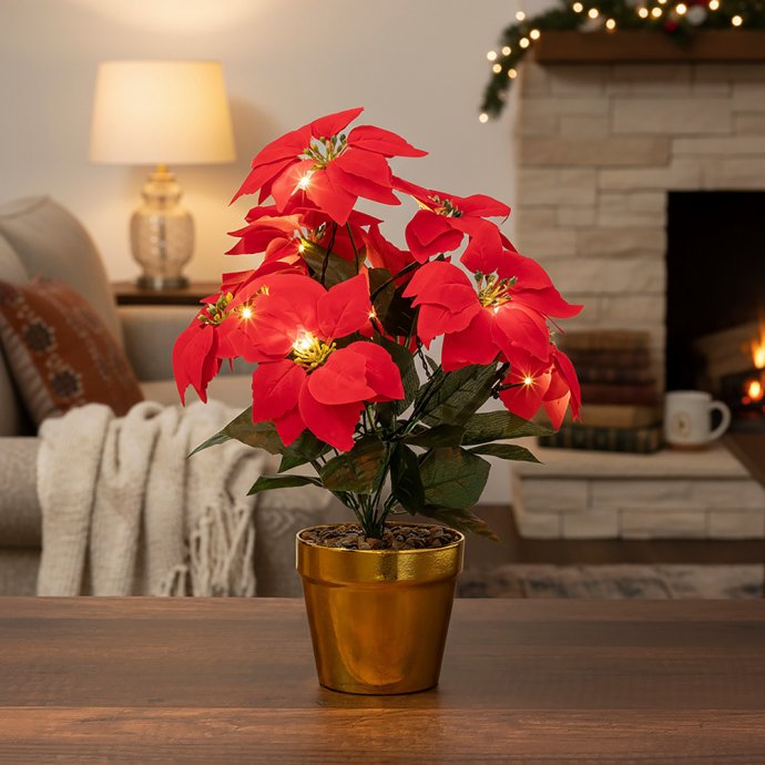 Étoile de Noël avec LED