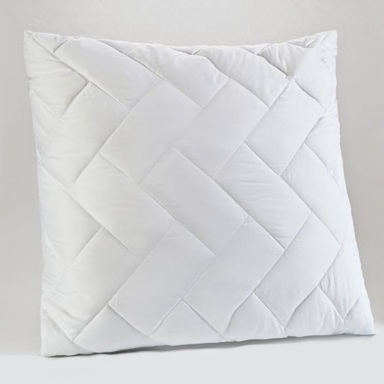 Hoofdkussen (2 Stuks) 