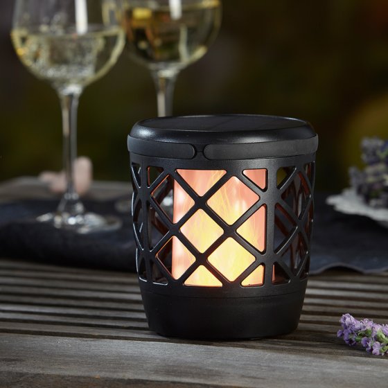 Tuinfakkel 'Vlam' hybride 