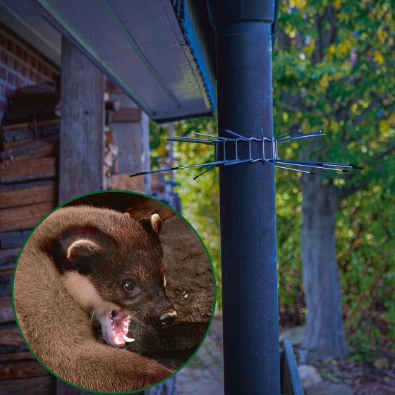 Protection anti-fouine pour descente de gouttière Lot de 2  