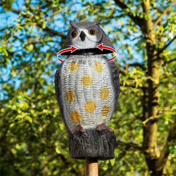 Tuinuil ’Vogelverjager’ 