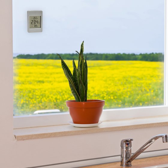 Thermomètre de fenêtre numérique 