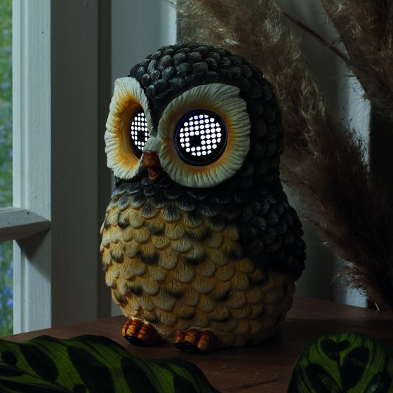 Solar-uil met oogbeweging 