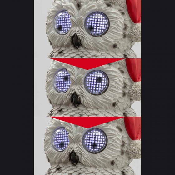 Chouette des neiges aux yeux qui bougent 