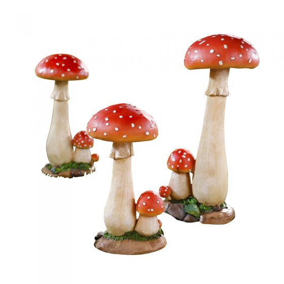 Amanite tue-mouche 30 cm 