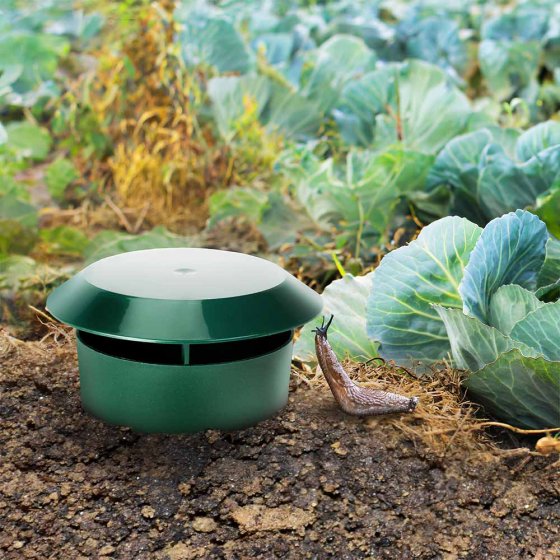 Pièges à limaces vendus par lot de deux 