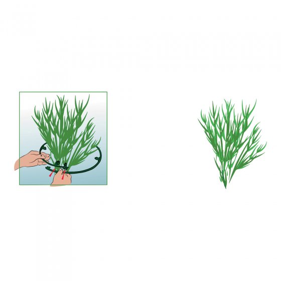 Vaste plantenringen in een set van 6 