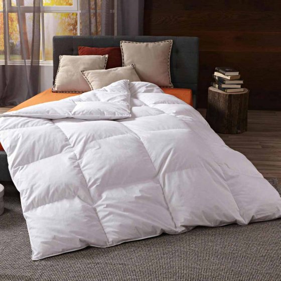 Couette en duvet avec pin cembro 