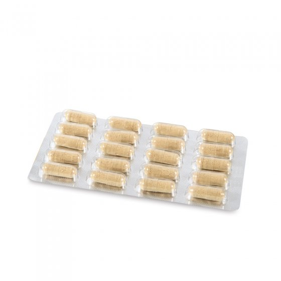 Capsules de poudre de maca 