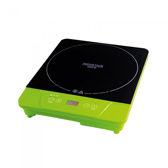 Plaque à induction avec plaque grillade 