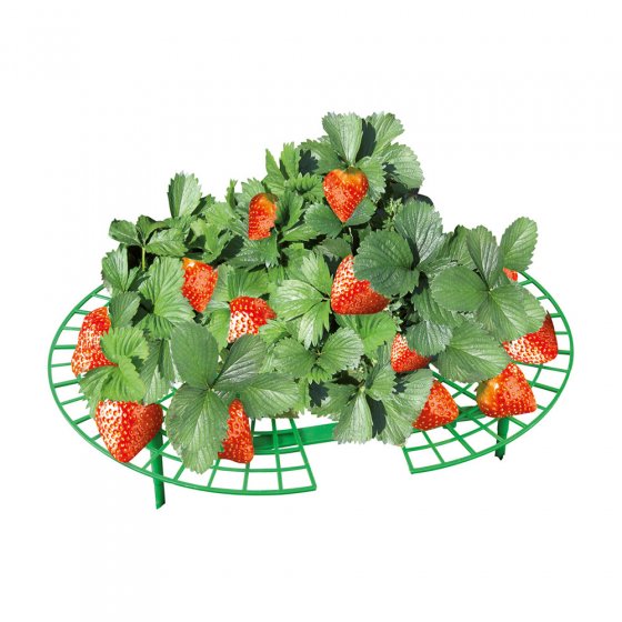 Aardbeienplant-groeihulp 10 stuks 