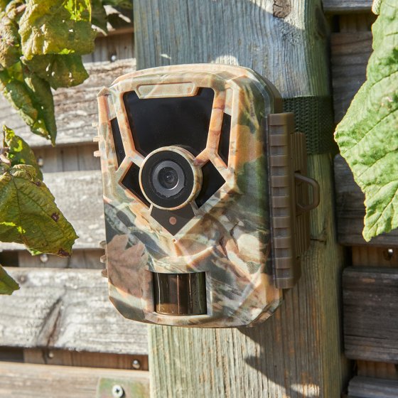 Caméra d'observation compacte LCD 