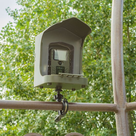 Vogelobservatiecamera met voederstation 