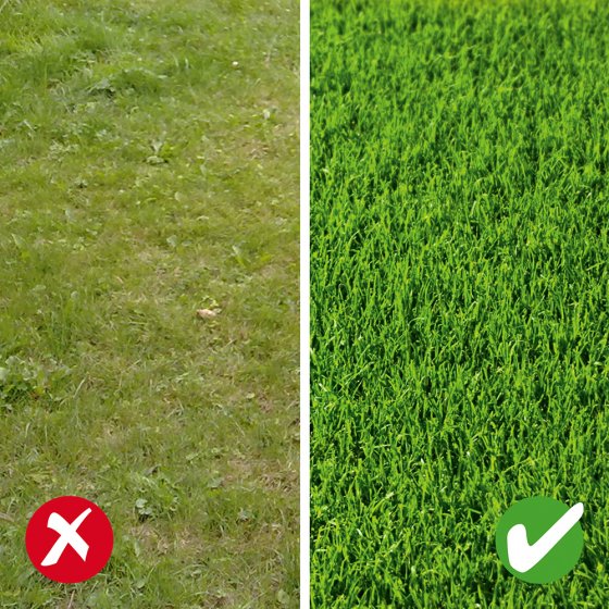 Gazon de réparation turbo 