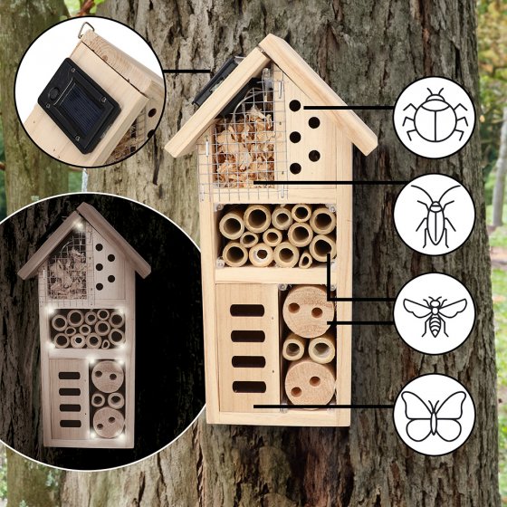 Hôtel solaire à insectes 