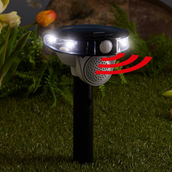 Vogelverjager op zonne-energie 