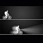 Innovatieve fietsverlichting - 2