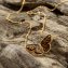 Collier papillon en ambre - 2