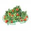 Aardbeienplant-groeihulp 10 stuks - 2