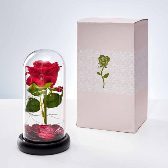 Eeuwige roos in een glas 