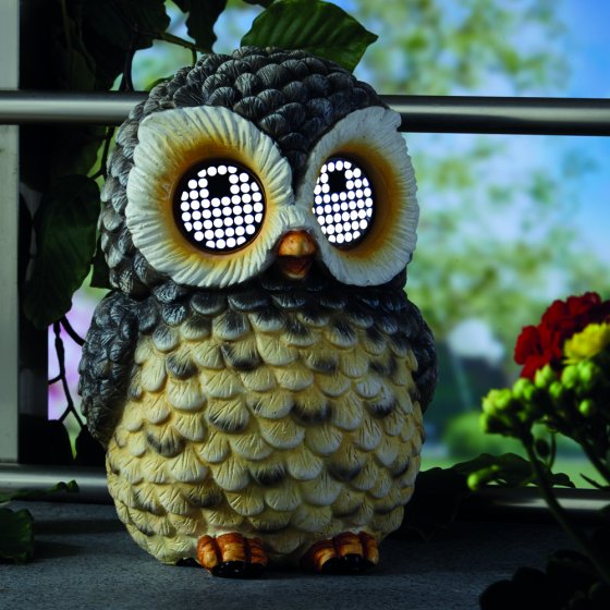 Solar-uil met oogbeweging 