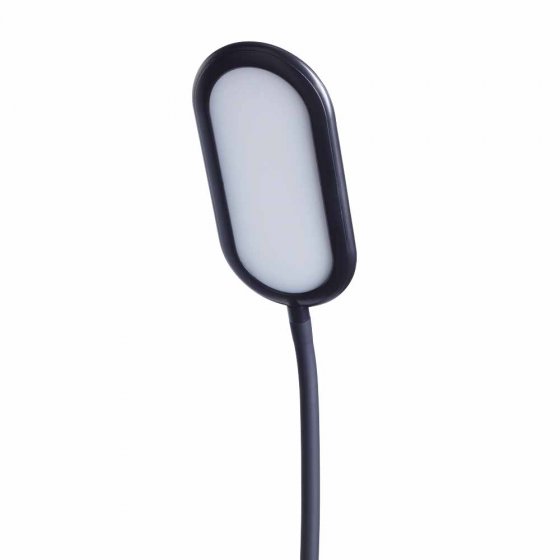 Staande lamp met zwanenhals 