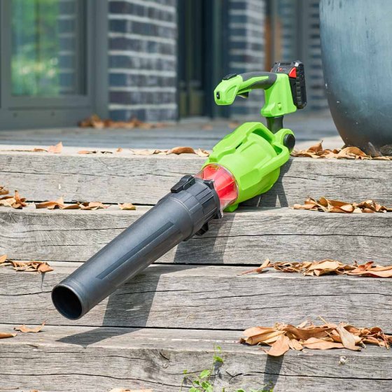 Draadloze telescopische bladblazer 