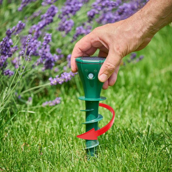 Zonne-energie afweermiddel tegen woelmuizen 