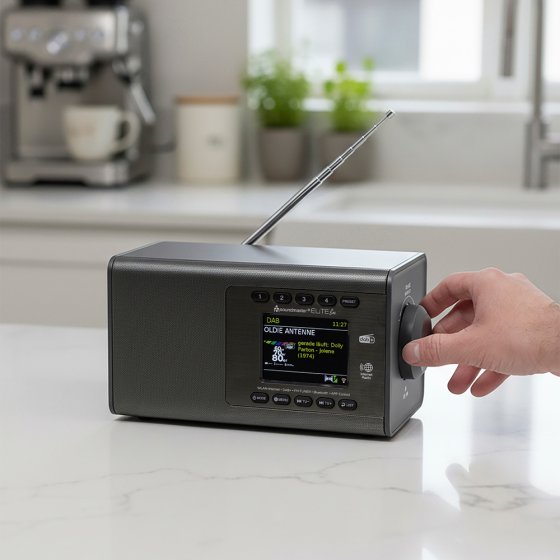 Radio domestique DAB+ au son puissant 