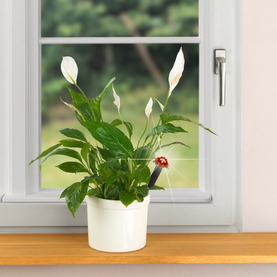 Vochtigheidssensor met LED-verkeerslichtsysteem 