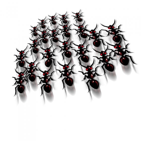Anti-fourmis Lot de 2  